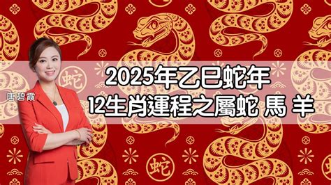 蛇年運程|2025年蛇年十二生肖運程詳解